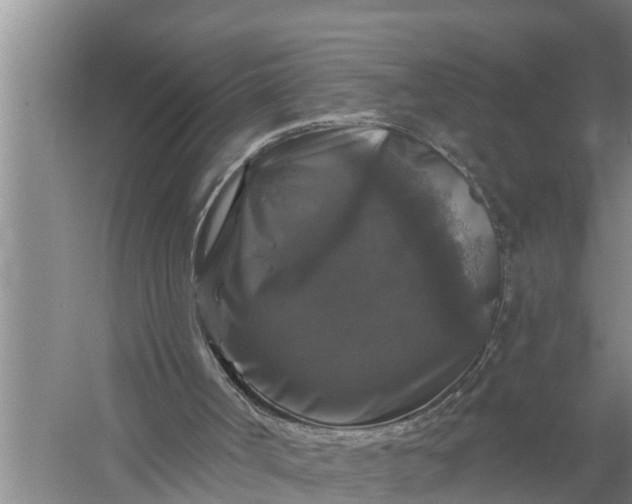 X0000058140002200510072043
