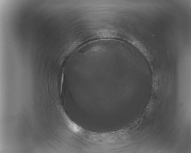 X0000058140009200510072043