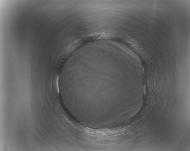 X0000058140022200510072043