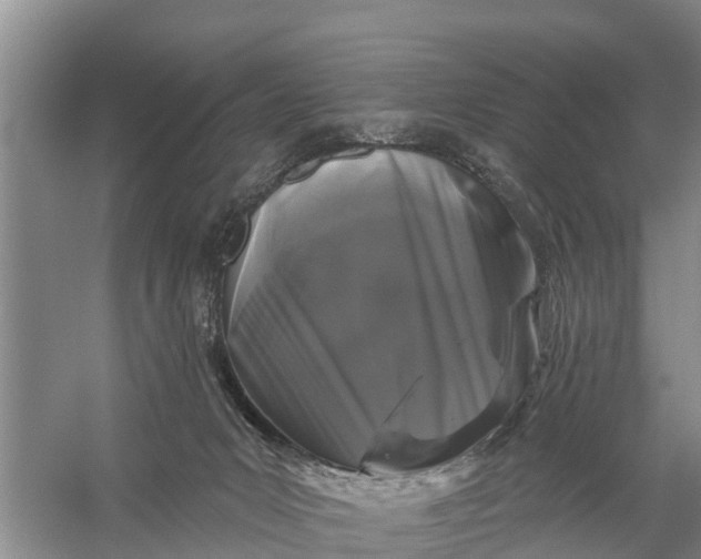X0000058140031200510072043