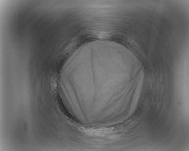 X0000058140032200510072043