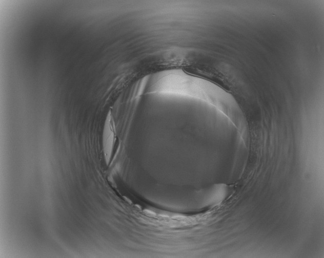 X0000058140035200510072043