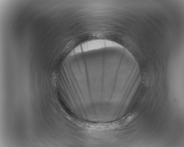 X0000058140036200510072043