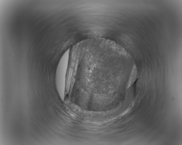 X0000058140045200510072043