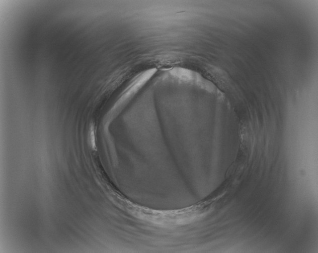 X0000058140046200510072043
