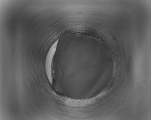 X0000058140048200510072043