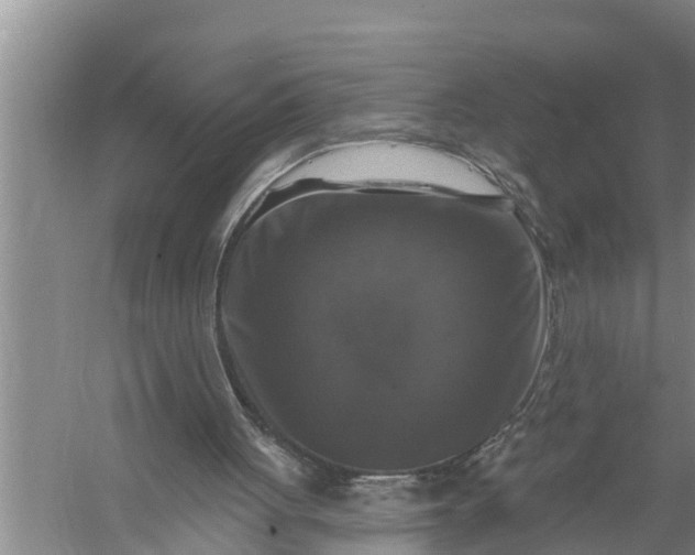 X0000058140051200510072042