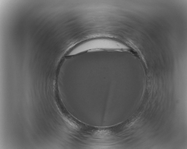 X0000058140063200510072042