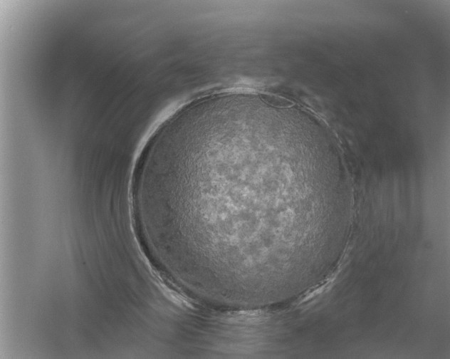X0000058140102200510072042