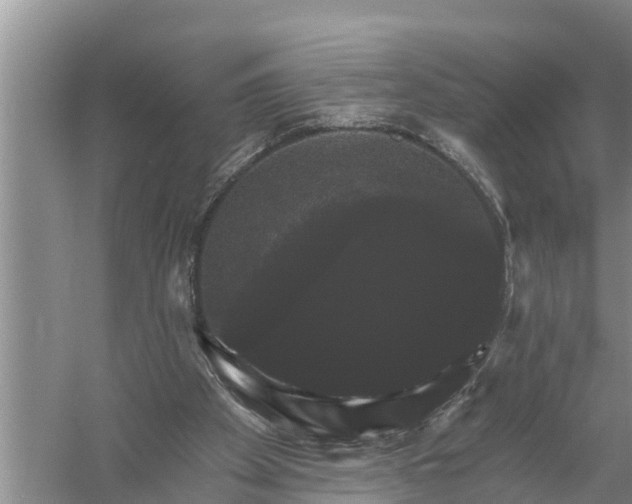 X0000058140105200510072042