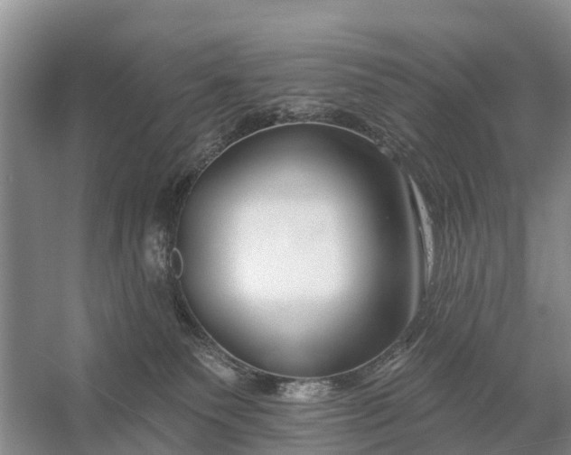X0000058140135200510072041