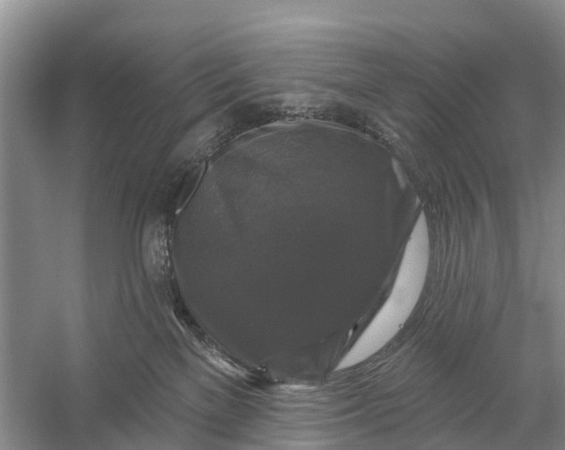 X0000058140137200510072041