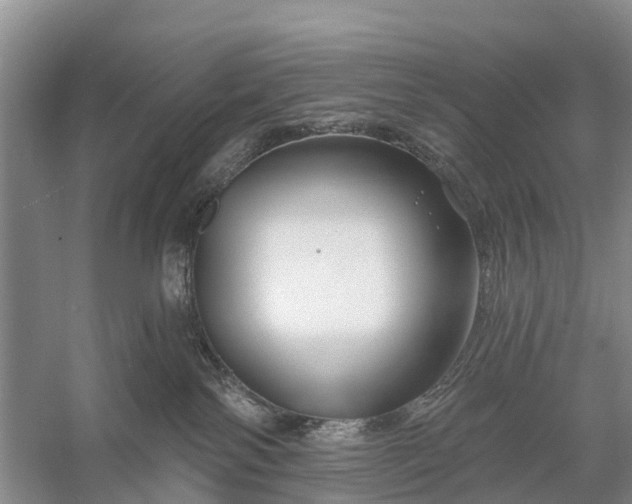 X0000058140138200510072041