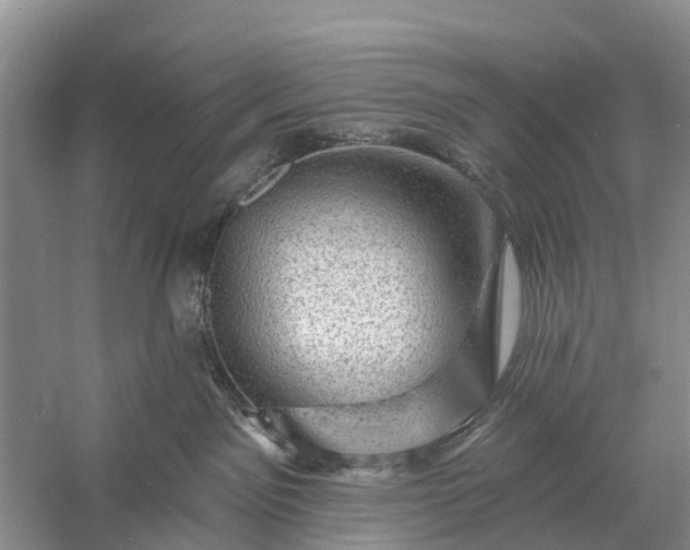 X0000058140141200510072041
