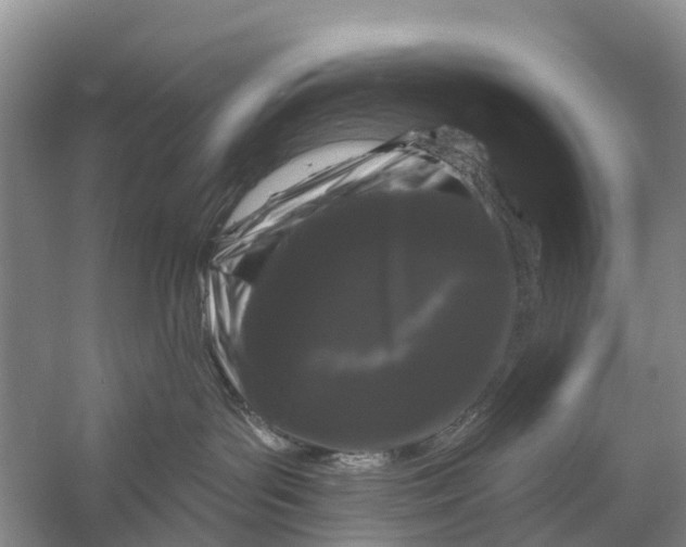 X0000058140143200510072041