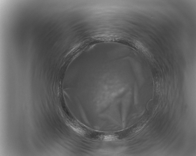 X0000058140165200510072040