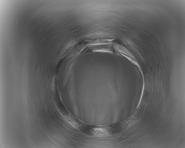 X0000058140167200510072040