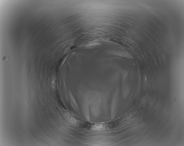 X0000058140177200510072041