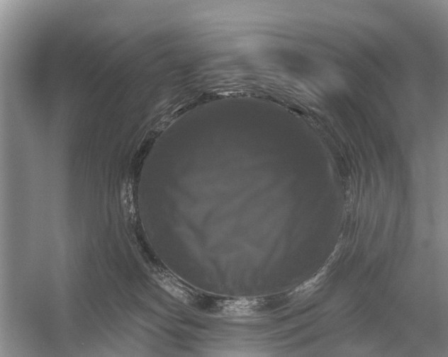 X0000058140182200510072041