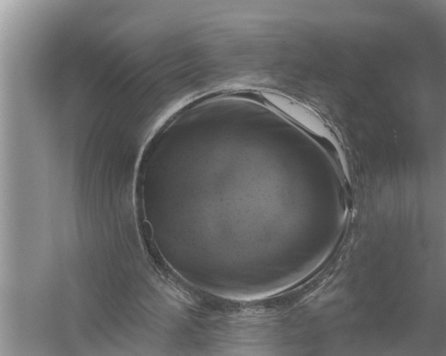 X0000058140196200510072040