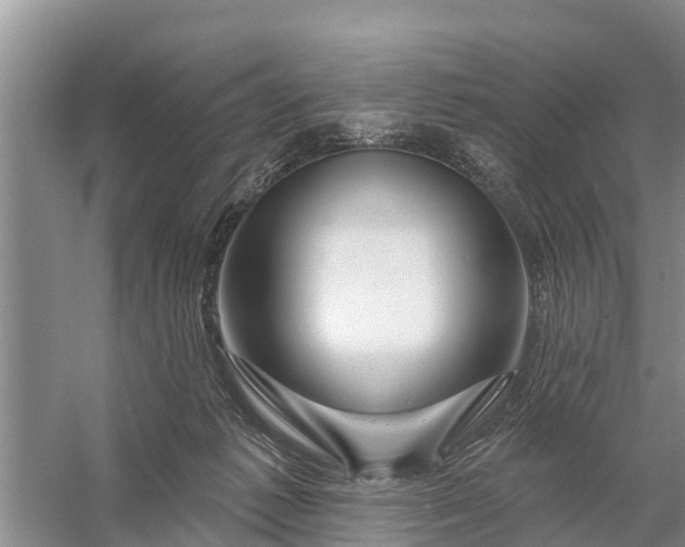 X0000058140221200510072040