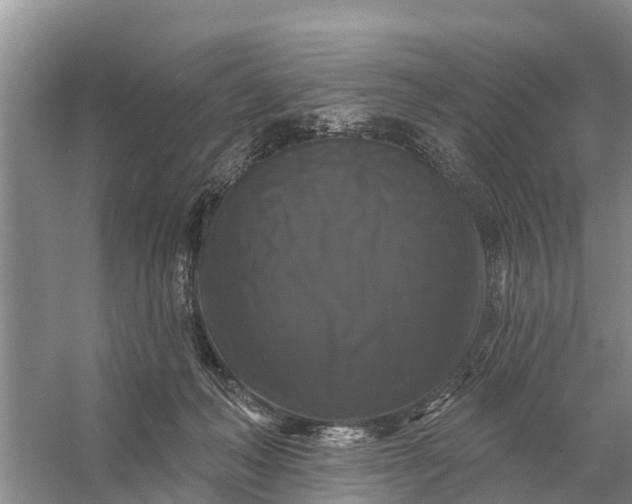 X0000058140222200510072040