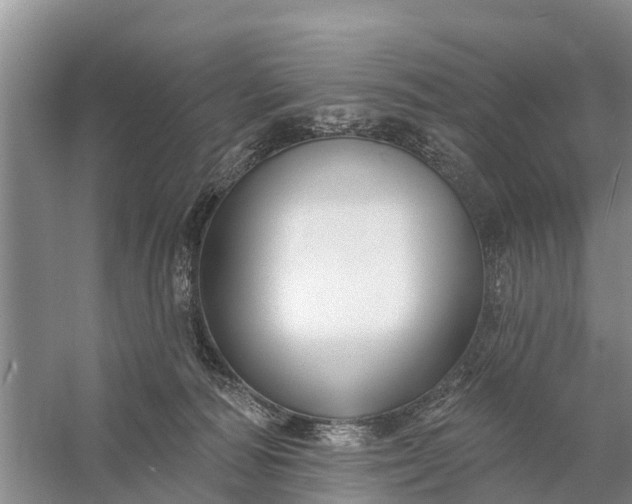 X0000058140226200510072040