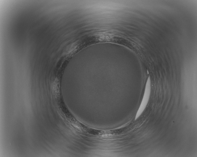 X0000058140228200510072039