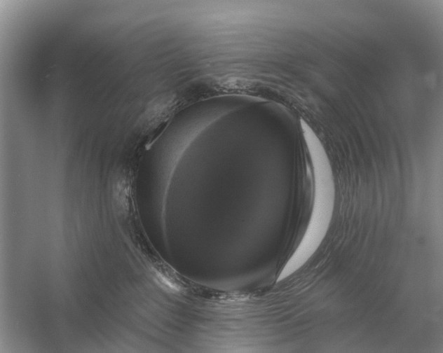 X0000058140235200510072039