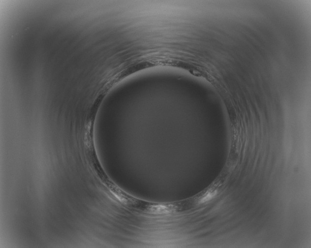 X0000058140239200510072039