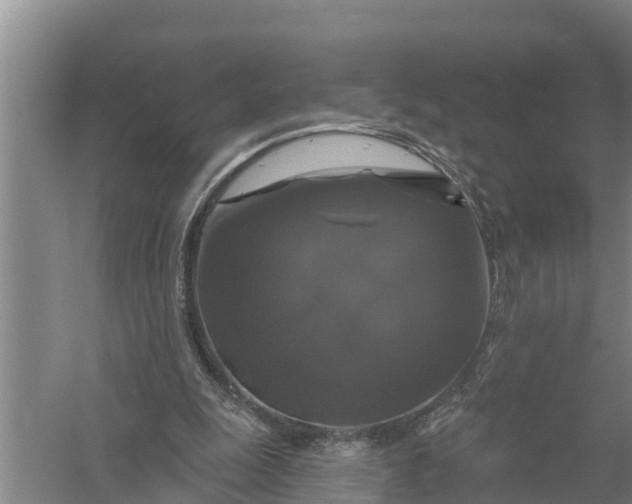 X0000058140247200510072039