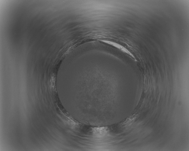 X0000058140281200510072039