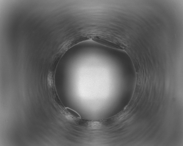 X0000058140287200510072039