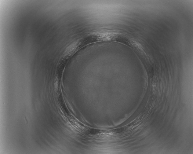 X0000058140314200510072038