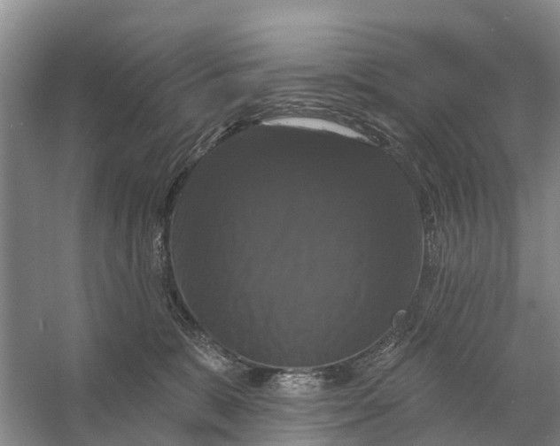 X0000058140327200510072038