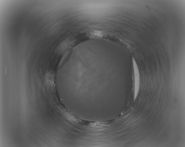 X0000058140331200510072038