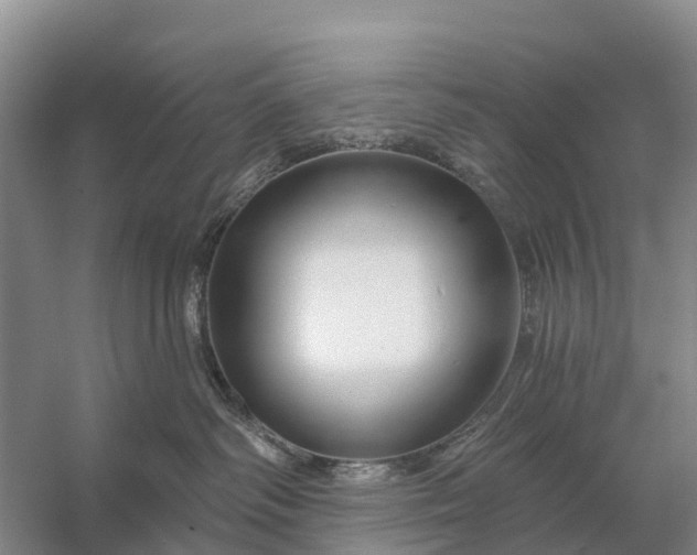 X0000058140334200510072038