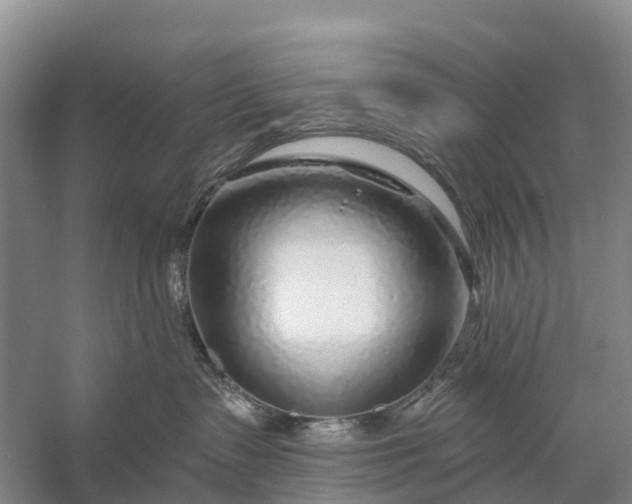 X0000058140335200510072038