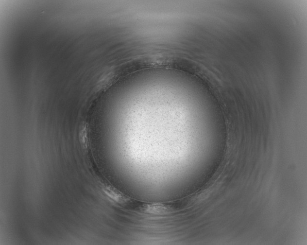 X0000058140336200510072038