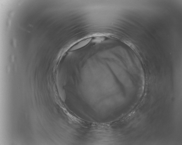 X0000058140337200510072037