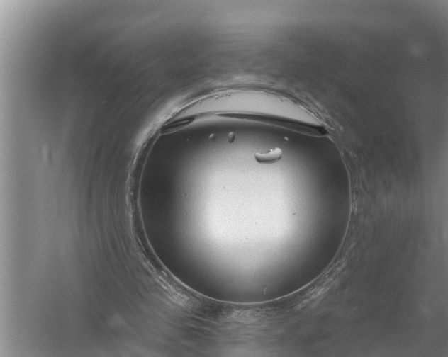 X0000058140341200510072037