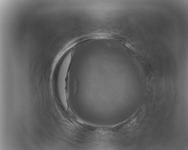 X0000058140343200510072037