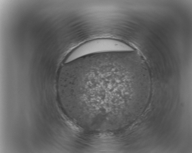 X0000058140345200510072037