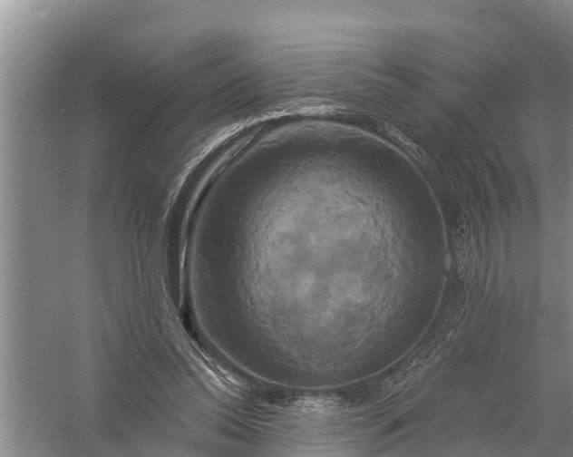 X0000058140350200510072037