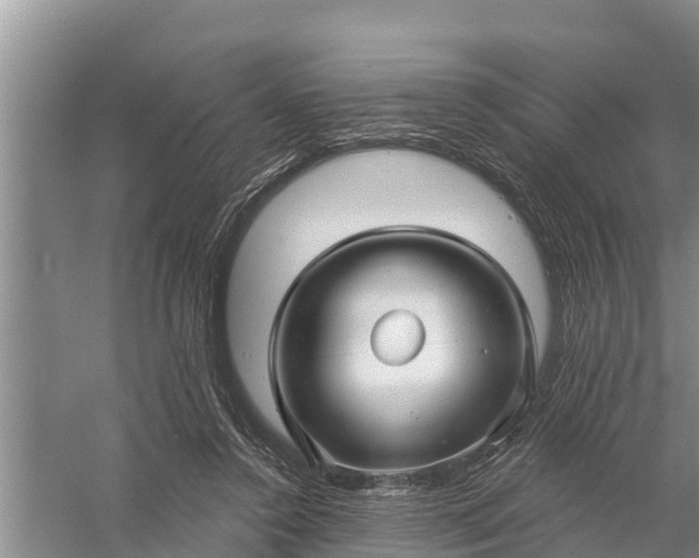 X0000058140356200510072037