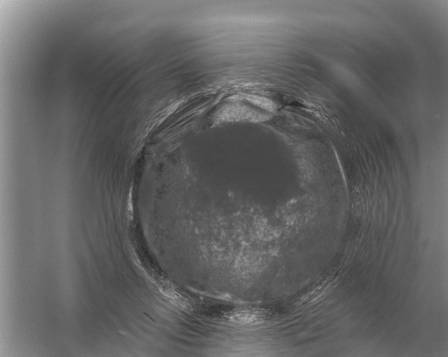 X0000058140358200510072037