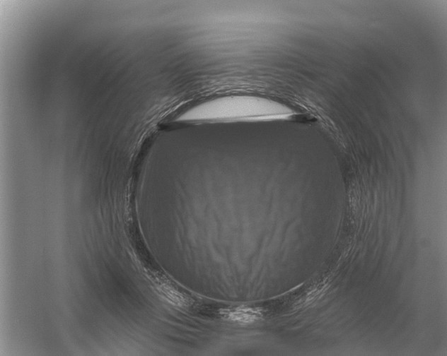 X0000058140359200510072037