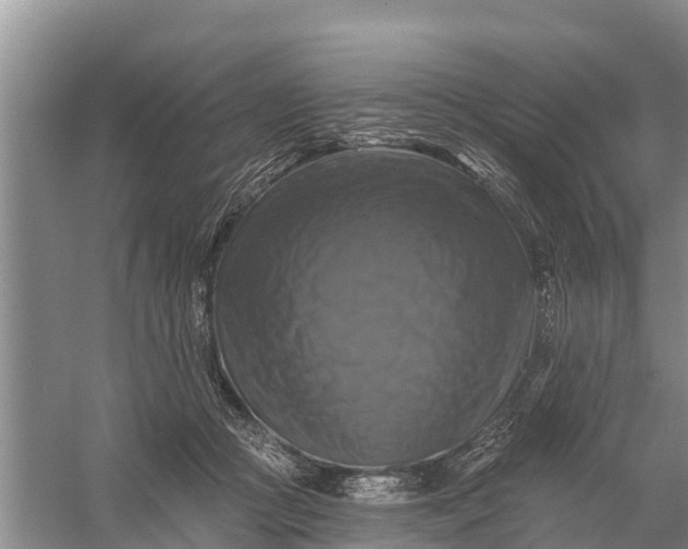 X0000058140361200510072037