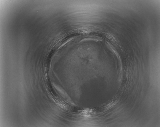 X0000058140366200510072037