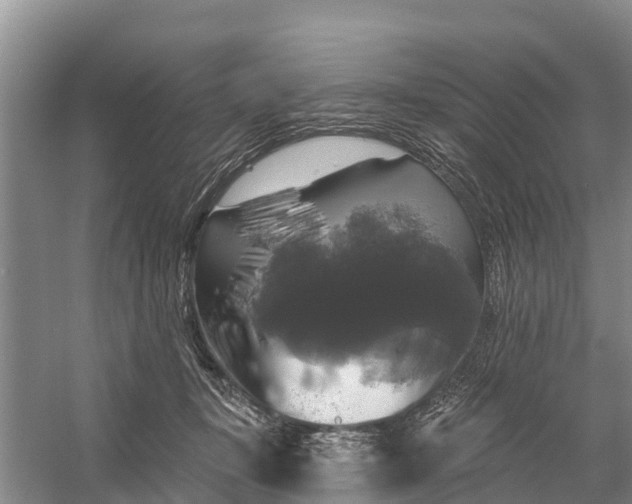 X0000058140367200510072037